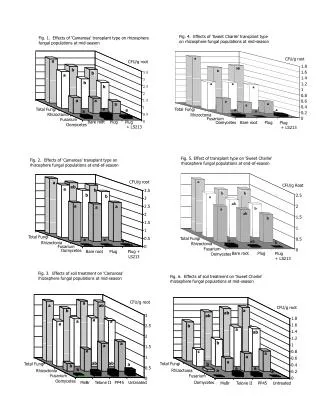 Fig. 1. Effects of 'Camarosa' transplant type on rhizosphere fungal populations at mid-season