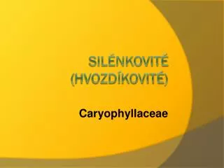 caryophyllaceae