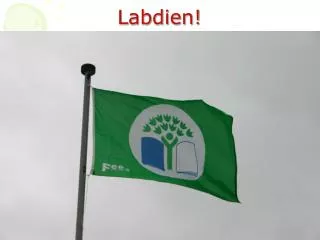 labdien