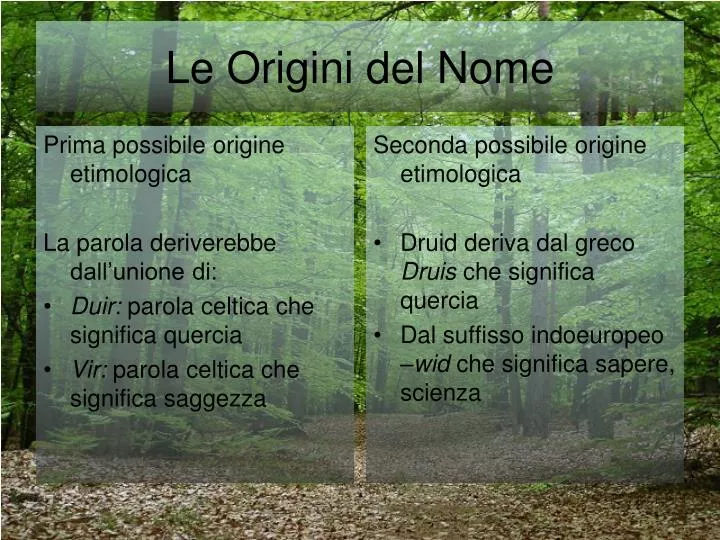 le origini del nome