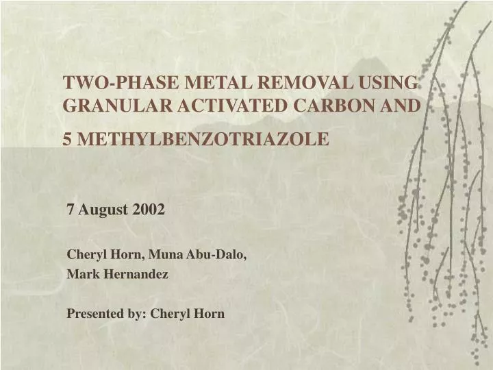 two phase metal removal using granular activated carbon and 5 methylbenzotriazole