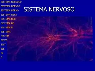 sistema nervoso