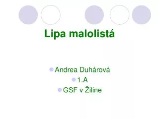 lipa malolist