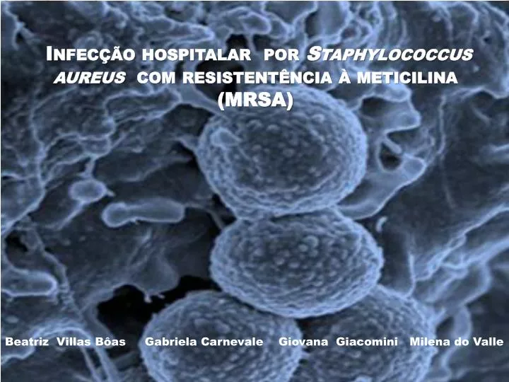 infec o hospitalar por staphylococcus aureus com resistent ncia meticilina mrsa