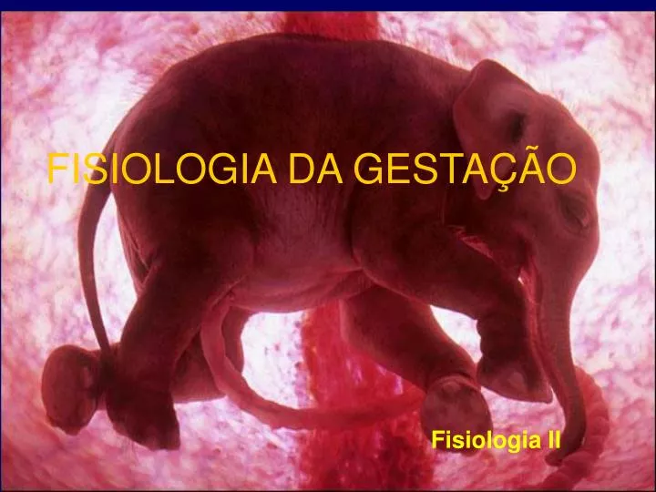 fisiologia da gesta o