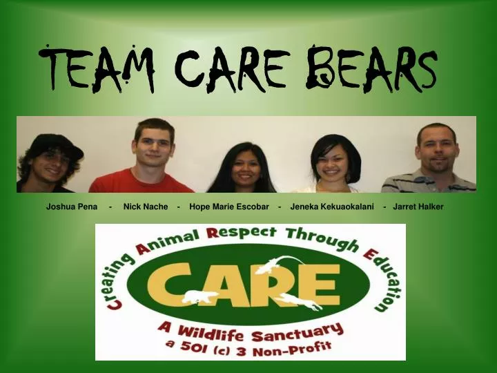 team care bears