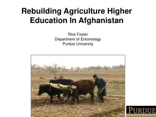 Rebuilding Agriculture Higher Education In Afghanistan