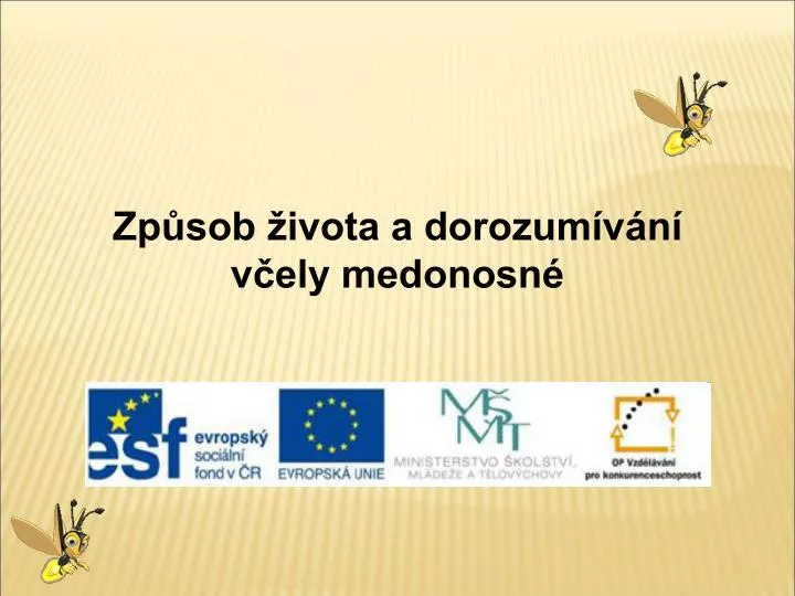 zp sob ivota a dorozum v n v ely medonosn