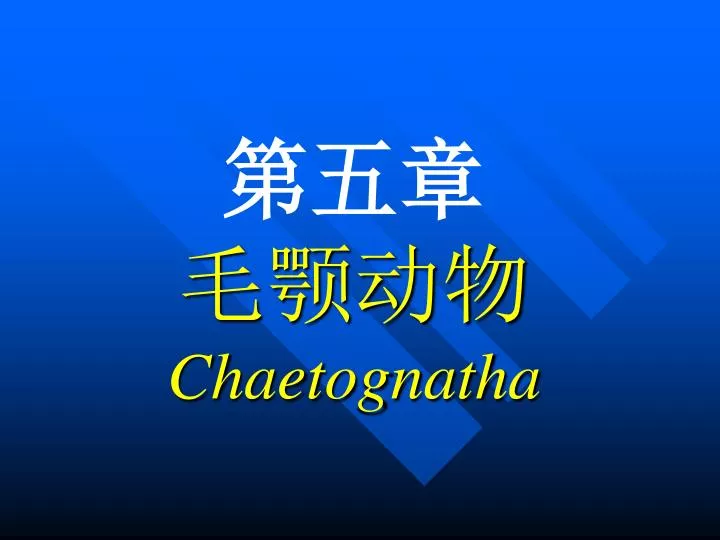 chaetognatha