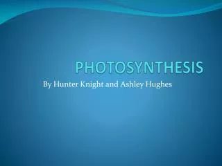 PHOTOSYNTHESIS