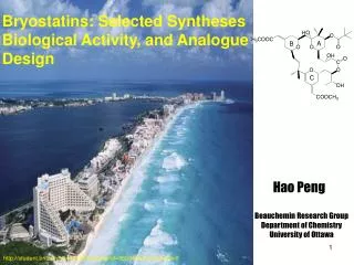 Bryostatins: Selected Syntheses Biological Activity, and Analogue Design