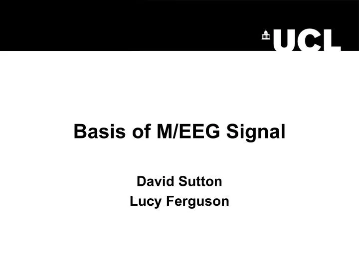 basis of m eeg signal