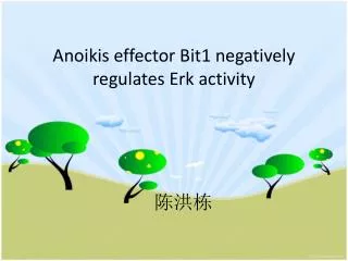 Anoikis effector Bit1 negatively regulates Erk activity