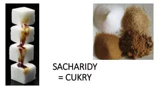 sacharidy cukry