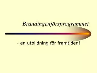 brandingenj rsprogrammet
