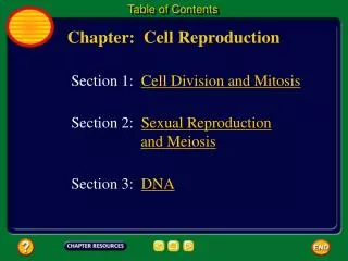 Chapter: Cell Reproduction