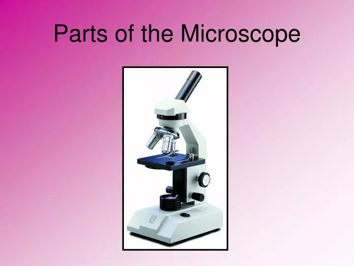 parts of the microscope