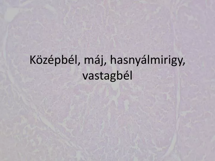 k z pb l m j hasny lmirigy vastagb l