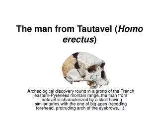 The man from Tautavel ( Homo erectus )
