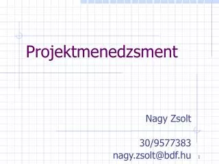 projektmenedzsment