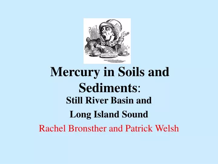 mercury in soils and sediments