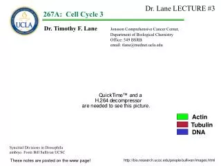 Dr. Timothy F. Lane Jonsson Comprehensive Cancer Center, 			Department of Biological Chemistry