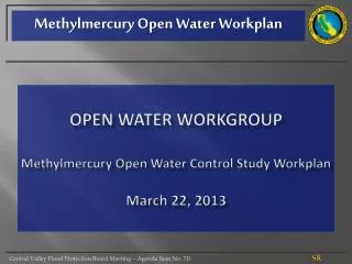 Open Water Workgroup Methylmercury Open Water Control Study Workplan March 22, 2013