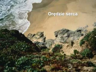 or dzie serca