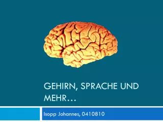 gehirn sprache und mehr