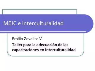 meic e interculturalidad