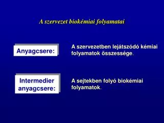a szervezet biok miai folyamatai