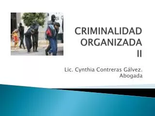 criminalidad organizada ii