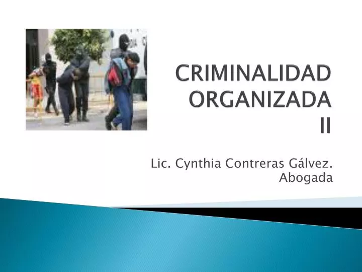 criminalidad organizada ii