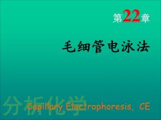 22 capillary electrophoresis ce