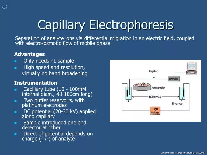 capillary electrophoresis
