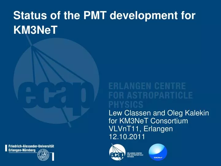 status of the pmt development for km3net
