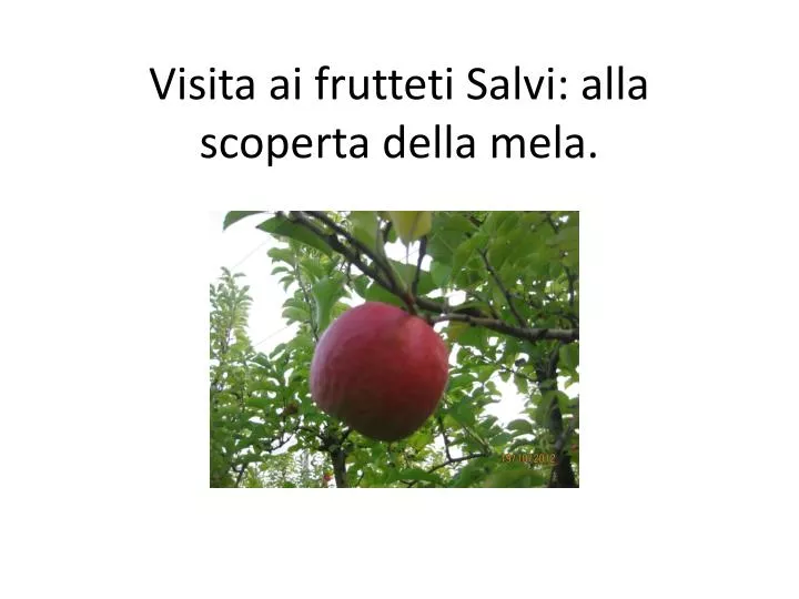 visita ai frutteti salvi alla scoperta della mela