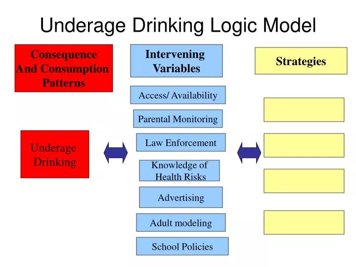 underage drinking logic model