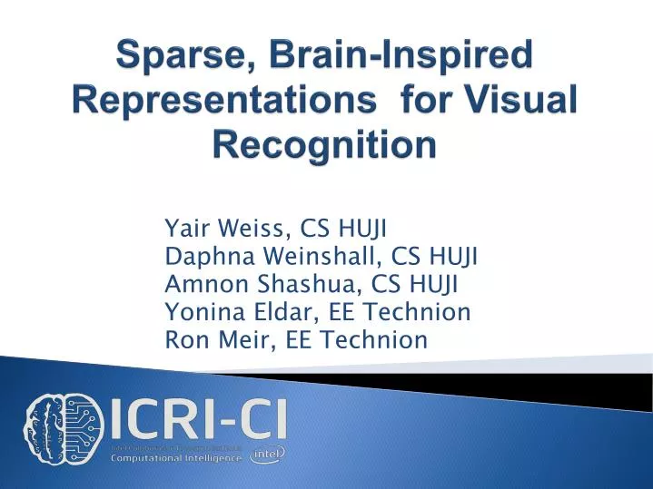 sparse brain inspired representations for visual recognition