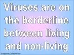 Viruses are on the borderline between living and non-living - slide 1