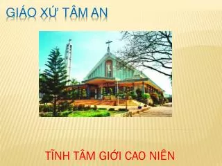 t nh t m gi i cao ni n