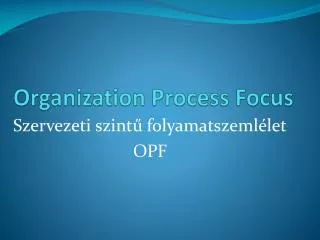 organization process focus
