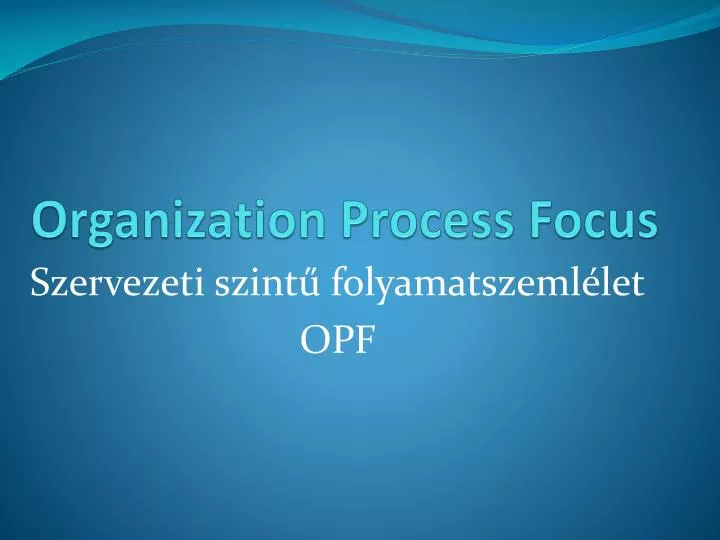 organization process focus