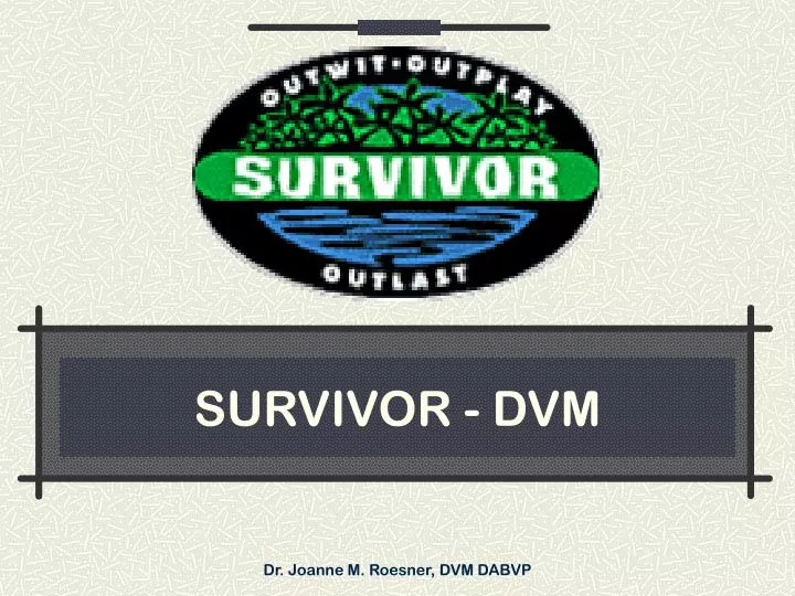 survivor dvm