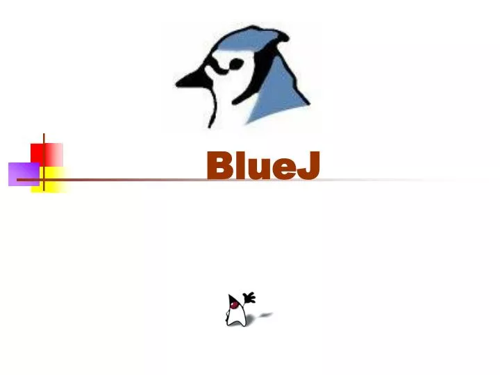 bluej