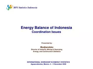 BPS Statistics Indonesia