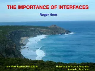 THE IMPORTANCE OF INTERFACES Roger Horn