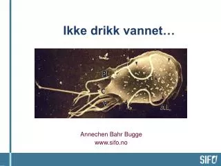 ikke drikk vannet