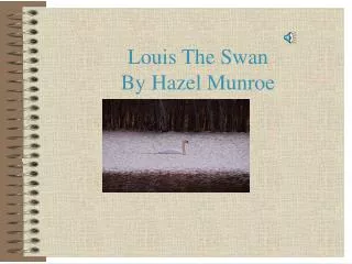 Louis The Swan By Hazel Munroe
