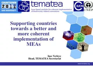 Supporting countries towards a better and more coherent implementation of MEAs Ines Verleye